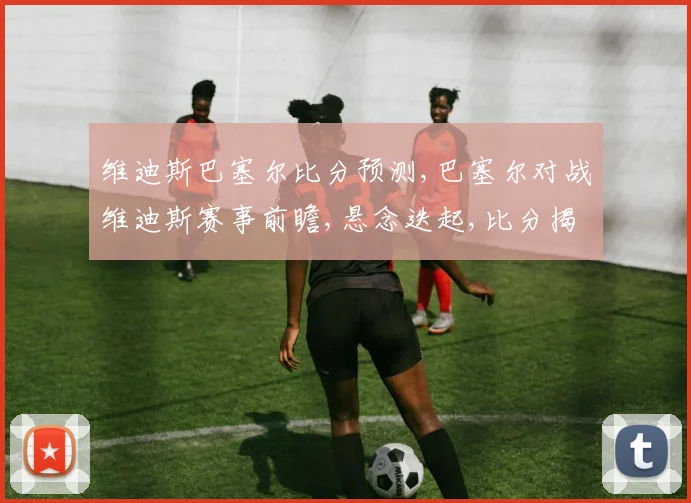 维迪斯巴塞尔比分预测,巴塞尔对战维迪斯赛事前瞻,悬念迭起,比分揭秘