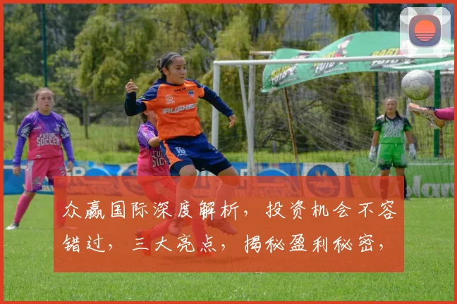 众赢国际深度解析，投资机会不容错过，三大亮点，揭秘盈利秘密，值得一看